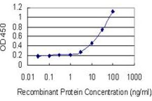 Detection limit for recombinant GST tagged ID4 is 1 ng/ml as a capture antibody. (ID4 antibody  (AA 1-161))