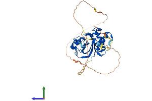 AlphaFold protein structure predicition of Mouse Recombinant Ammecr1 Protein, UniprotID Q9JHT5