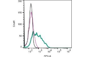 Cell surface detection of CD9 by indirect flow cytometry in live intact human  megakaryoblast cell line: + goat-anti-rabbit-FITC. (CD9 antibody  (Extracellular))
