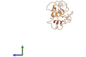 AlphaFold protein structure predicition of Human Recombinant KRTAP4-9 Protein, UniprotID Q9BYQ8 (KRTAP4-9 Protein (AA 1-210) (His tag))