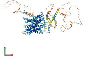 AlphaFold protein structure predicition of Mouse Recombinant Slc9a1 Protein, UniprotID Q61165