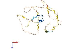 POU2AF1 Protein (AA 1-256) (His tag)