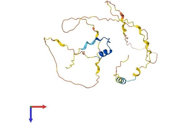 POU2AF1 Protein (AA 1-256) (His tag)