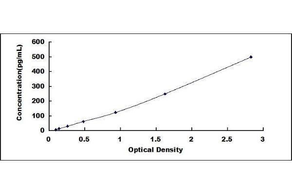 FGF20 ELISA Kit