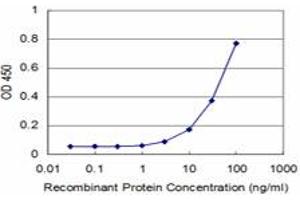 Detection limit for recombinant GST tagged MEOX2 is approximately 3ng/ml as a capture antibody. (MEOX2 antibody  (AA 1-303))