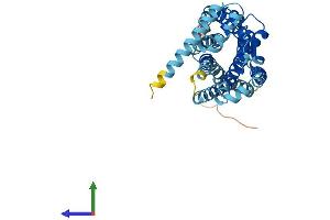 AlphaFold protein structure predicition of Mouse Recombinant Ccr9 Protein, UniprotID Q9WUT7 (CCR9 Protein (AA 1-369) (His tag))