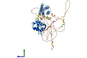 AlphaFold protein structure predicition of Mouse Recombinant Cnksr3 Protein, UniprotID Q8BMA3