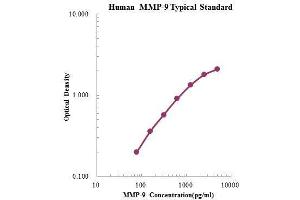 ELISA image for Matrix Metallopeptidase 9 (Gelatinase B, 92kDa Gelatinase, 92kDa Type IV Collagenase) (MMP9) ELISA Kit (ABIN3198599) (MMP 9 ELISA Kit)