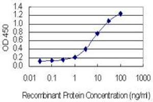 Detection limit for recombinant GST tagged KIF17 is 0. (KIF17 antibody  (AA 930-1029))
