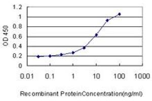 Detection limit for recombinant GST tagged RHEBL1 is approximately 0. (RHEBL1 antibody  (AA 87-183))