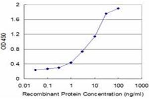 Detection limit for recombinant GST tagged GCHFR is approximately 0. (GCHFR antibody  (AA 1-84))