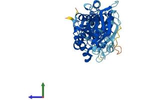 AlphaFold protein structure predicition of Mouse Recombinant Ifi44 Protein, UniprotID Q8BV66