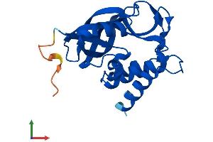 Protein Structure (PS) image for gamma-Glutamylcyclotransferase (GGCT) (AA 1-188) protein (His tag) (ABIN7561102)