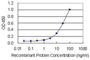 Detection limit for recombinant GST tagged EFCAB4A is 0. (EFCAB4A antibody  (AA 1-294))