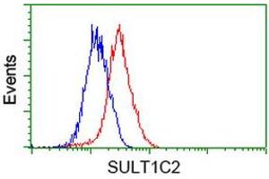Flow cytometric Analysis of Hela cells, using anti-SULT1C2 antibody (ABIN2454715), (Red), compared to a nonspecific negative control antibody, (Blue). (SULT1C2 antibody)