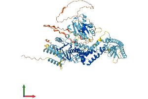 Protein Structure (PS) image for MutS Homolog 4 (E. Coli) (MSH4) (AA 1-936) protein (His tag) (ABIN7554627)