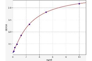 Typical standard curve (ALDH4A1 ELISA Kit)