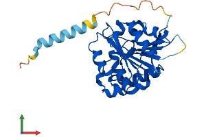 Protein Structure (PS) image for Abhydrolase Domain Containing 14A (ABHD14A) (AA 1-247) protein (His tag) (ABIN7560235)