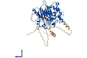 AlphaFold protein structure predicition of Mouse Recombinant Dbr1 Protein, UniprotID Q923B1 (DBR1 Protein (AA 1-550) (His tag))