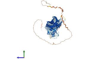 AlphaFold protein structure predicition of Human Recombinant FBXO11 Protein, UniprotID Q86XK2 (FBXO11 Protein (AA 1-927) (His tag))