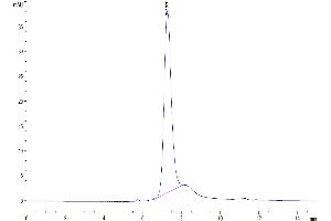 The purity of Mouse CD74 is greater than 95 % as determined by SEC-HPLC. (CD74 Protein (AA 56-279) (His tag))