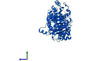 AlphaFold protein structure predicition of Human Recombinant ATIC Protein, UniprotID P31939 (ATIC Protein (AA 1-592) (His tag))