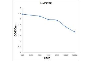 Antigen: 2 µg/100 µL  Primary: Antiserum, 1:500, 1:1000, 1:2000, 1:4000, 1:8000, 1:16000, 1:32000;  Secondary: HRP conjugated Rabbit Anti-Goat IgG at 1: 5000;  TMB staining Read the data in Microplate Reader by 450nm.