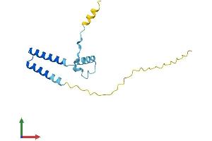 AlphaFold protein structure predicition of Human Recombinant FAM216B Protein, UniprotID Q8N7L0 (C13orf30 Protein (AA 1-139) (His tag))