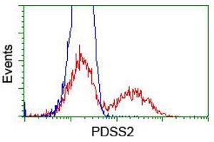 HEK293T cells transfected with either RC207892 overexpress plasmid (Red) or empty vector control plasmid (Blue) were immunostained by anti-PDSS2 antibody (ABIN2455313), and then analyzed by flow cytometry. (PDSS2 antibody)