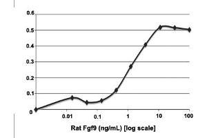 3T3 cells were cultured with 0 to 100 ng/mL rat Fgf9. (FGF9 Protein)