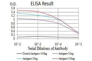 Black line: Control Antigen (100 ng),Purple line: Antigen (10 ng), Blue line: Antigen (50 ng), Red line:Antigen (100 ng) (BAFF antibody  (AA 116-278))
