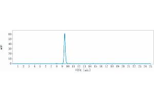 The purity of Anti-DCBLD2 / ESDN Reference Antibody (FA19-1) is more than 95 % , determined by SEC-HPLC.