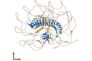 AlphaFold protein structure predicition of Mouse Recombinant Lrrc7 Protein, UniprotID Q80TE7 (LRRC7 Protein (AA 1-1490) (His tag))