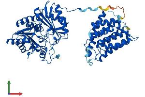 AlphaFold protein structure predicition of Mouse Recombinant Tkfc Protein, UniprotID Q8VC30 (DAK Protein (AA 1-578) (His tag))