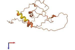 Chromosome 3 Open Reading Frame 27 (C3orf27) (AA 1-149) protein (His tag)
