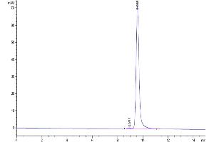 The purity of Human NGAL is greater than 95 % as determined by SEC-HPLC. (Lipocalin 2 Protein (LCN2) (AA 21-198) (His tag))