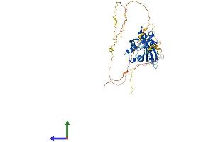 AlphaFold protein structure predicition of Mouse Recombinant Atcay Protein, UniprotID Q8BHE3 (ATCAY Protein (AA 1-372) (His tag))