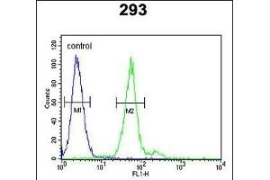 TPSAB1 Antibody (Center) (ABIN651632 and ABIN2850540) flow cytometric analysis of 293 cells (right histogram) compared to a negative control cell (left histogram). (TPSAB1 antibody  (AA 61-87))