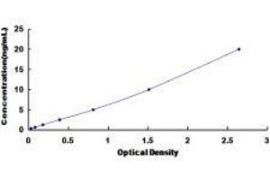 Collagen, Type V, alpha 2 (COL5A2) ELISA Kit