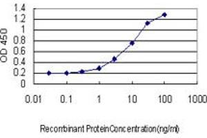 Detection limit for recombinant GST tagged SYNE1 is approximately 0. (SYNE1 antibody  (AA 1561-1670))