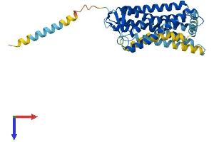 AlphaFold protein structure predicition of Human Recombinant OR5T3 Protein, UniprotID Q8NGG3 (OR5T3 Protein (AA 1-340) (His tag))