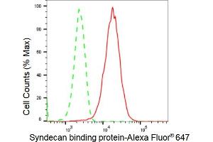 Flow cytometric analysis of Syndecan binding protein expression in HepG2 cells using Syndecan binding protein antibody (ABIN7800491), 1:2,000).