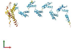 AlphaFold protein structure predicition of Human Recombinant ZNF404 Protein, UniprotID Q494X3