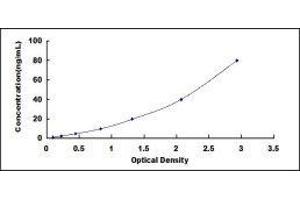 Typical standard curve (Decorin ELISA Kit)
