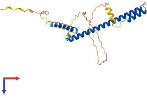HES6 Protein (AA 1-224) (His tag)