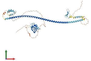 AlphaFold protein structure predicition of Mouse Recombinant Stxbp4 Protein, UniprotID Q9WV89