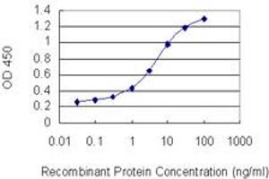 Detection limit for recombinant GST tagged BCL11A is 0. (BCL11A antibody  (AA 1-88))