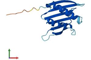 AlphaFold protein structure predicition of Human Recombinant PSMG4 Protein, UniprotID Q5JS54