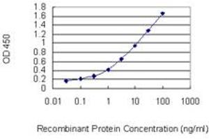 Detection limit for recombinant GST tagged PLD1 is 0. (PLD1 antibody  (AA 965-1074))