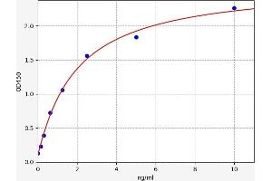 STUB1 ELISA Kit